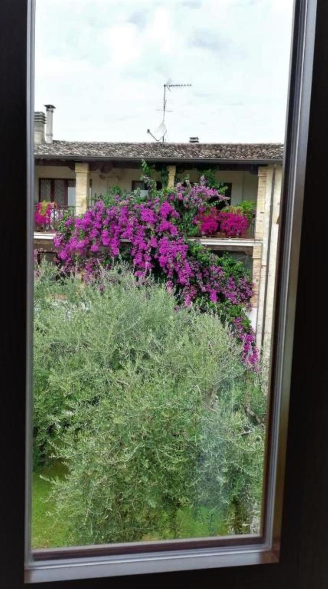 Dolce Lago B&B San Felice del Benaco Exterior foto